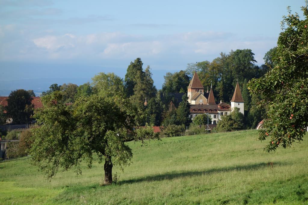 Schloss Muenchenwiler Murten Exterior foto